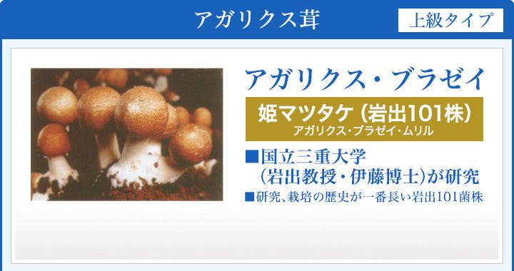 アガリクス茸(上級タイプ)