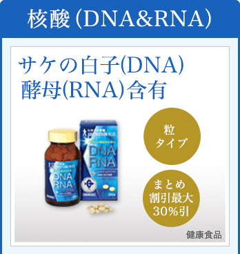 核酸(DNA&RNA)